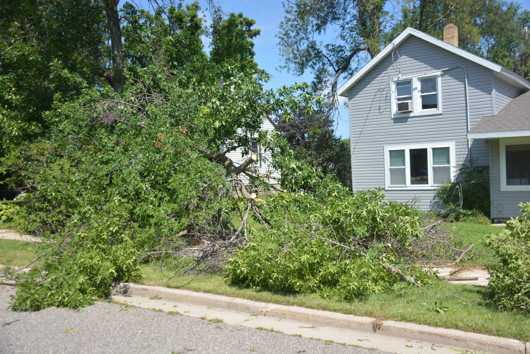 DSC_1451.jpg